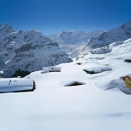 Daire Pfingstrose By Interhome Grindelwald