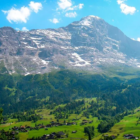 Pfingstrose By Interhome Daire *