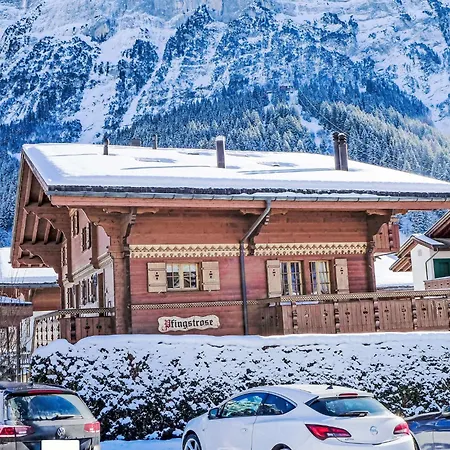 Pfingstrose By Interhome Apartamento Grindelwald