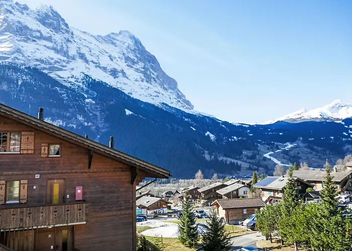 Pfingstrose By Interhome Lejlighed Grindelwald