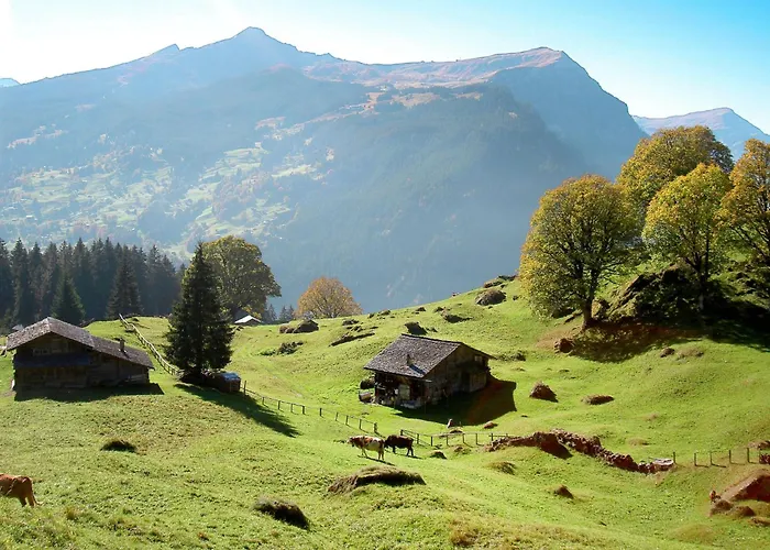 Pfingstrose By Interhome شقة *